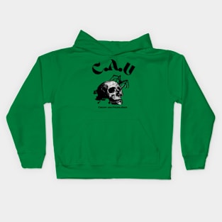 CAU (creepy and unexplained) Skull with spider Conspiracy t-shirt for all sizes and ages Kids Hoodie